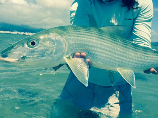 Marathon's International Bonefish Tournament